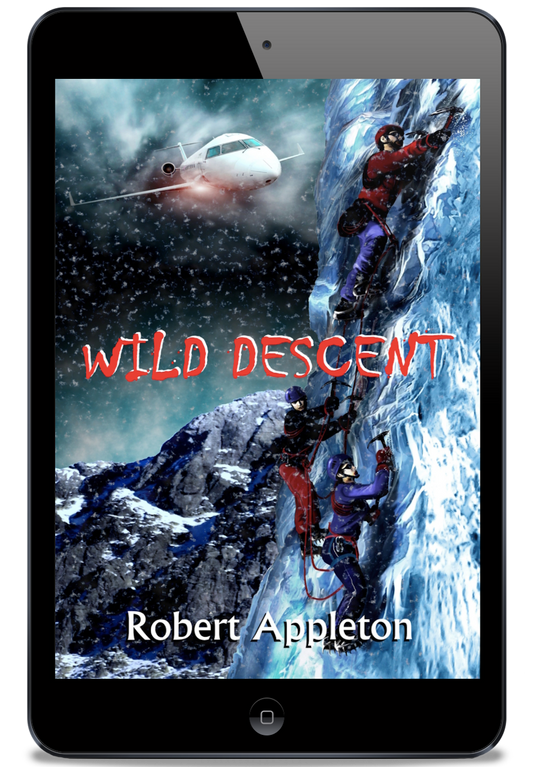 Wild Descent (Beyond Limits #2) - eBook Edition
